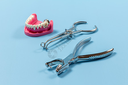 人下巴与夹子 橡胶大坝力和牙洞拳的布局口腔科医疗夹钳喷射器牙科乐器矫正金属牙齿橡皮图片