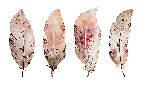 水彩羽毛绘画空气荒野墨水创造力刷子翅膀帆布插图收藏艺术图片