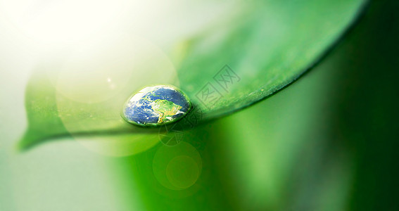 地球上植物生命之水 地球的近距离拍摄 在叶子上的一个水滴中反射背景