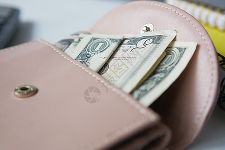 粉红色背景的皮革现款储蓄危机钱包粉色商业债务货币财富金融图片