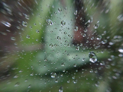 在蜘蛛网上躺下蛛网叶子雨滴门廊蜘蛛网宏观说谎网络地面天气图片