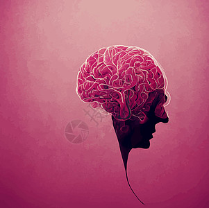 人类大脑的例证 人脑的粉红色 2d 插图一部分思维动画教育创造力天才科学心理学艺术药品图片