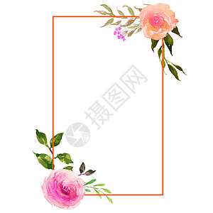 水彩花框 玫瑰花方邀请框的设计 白背景的孤立位置( Y)图片