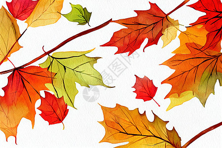 秋叶和树枝的水彩横幅 隔绝在节日橡树叶季节插图艺术叶子庆典花园树叶感恩图片
