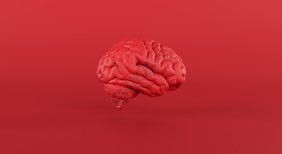 红色的大脑幻灯观视 在最低限度的工作室背景 思想 想法 商业图片