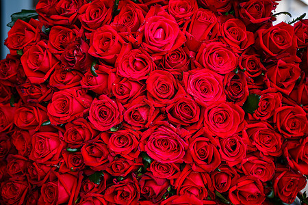 给女孩一束红玫瑰花 鲜花植物群派对花束礼物叶子植物花瓣植物学婚姻白玫瑰图片