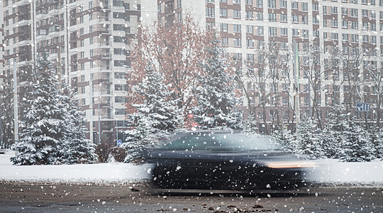 城市降雪 一辆在路上模糊的汽车 被雪覆盖的风毛树沿路长着图片