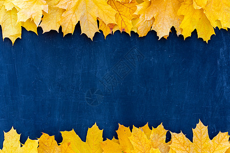 秋叶框 蓝色背景最深的视野黄色和橙叶树老牌结构表复制文本空间木板树叶董事会边界感恩学校桌子乡村黑板嘲笑图片