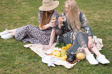 2名身穿长夏裙的年轻女子 正在野餐中休息 草地上女性小猫季节篮子金发女郎宠物短发生活方式喜悦幸福图片