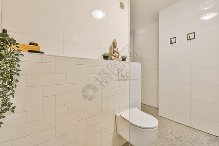 白色洗手间 有白色厕所和白瓷砖浴室龙头建筑学奢华公寓植物装饰浴缸窗户淋浴图片