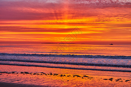 笼罩东海岸的金光闪耀着海洋海滨和海浪图片