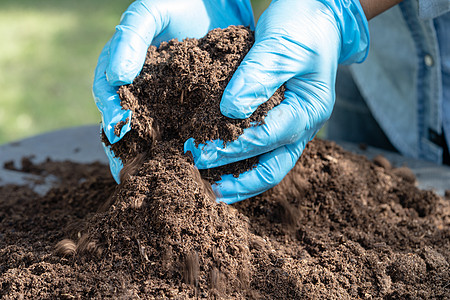 手持泥炭苔苗有机物可改善土壤 以种植农业有机植物 生态概念等热带高架园艺幼苗生活地球可持续女性公园爱好图片