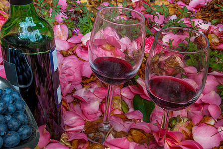 瓶子 酒杯和蓝莓 在玫瑰花园花园玫瑰眼镜图片