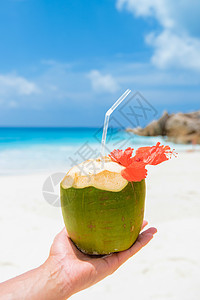 在塞舌尔群岛的热带海滩La Digue上用手掌着椰子酒旅游奢华异国蜜月水果坚果情调海岸线天线自由图片