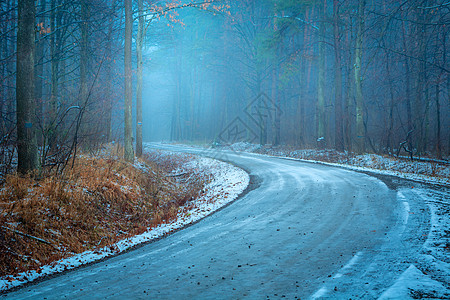 冬天树雪雾在浓雾的冬季森林中弯曲背景