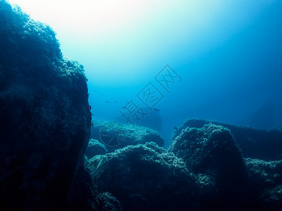 太阳照耀的岩石海床背景阳光光束地面射线冒险水族馆风景藻类海景液体图片