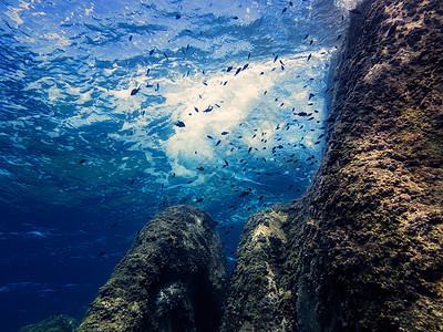 岩石墙水下视图背景的图案液体冒险射线海景水族馆阳光光束太阳地面潜水图片