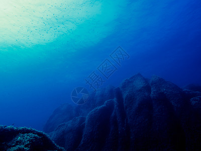 带有岩石海底的水下底底背景液体射线光束海景水族馆太阳藻类风景海洋潜水图片