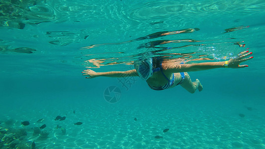 在海里 一个戴着特殊浮潜面具的女孩在炎热的夏日度假时游泳 检查鱼群 围栏和海底世界的美景冒险假期珊瑚女士潜水娱乐运动乐趣海滩热带图片