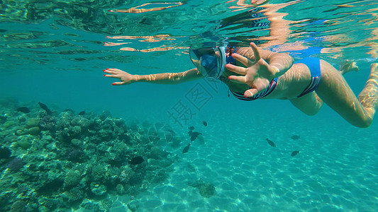 在海里 一个戴着特殊浮潜面具的女孩在炎热的夏日度假时游泳 检查鱼群 围栏和海底世界的美景假期海滩潜水女性海洋热带冒险海池女士闲暇图片