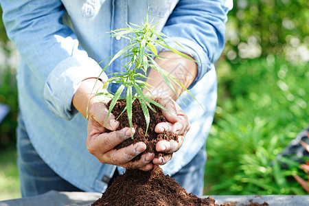 用手种植树木 生态地球日 拯救世界 拯救地球 绿化森林农业社区生态活力生长回收世界行星教育图片