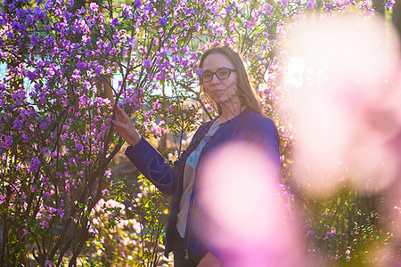 罗多登登花的开花荒野全景植物草地植物群阳光女孩旅游紫色岩石图片