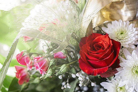 一束红玫瑰和白花的美丽花束 在光背景上图片