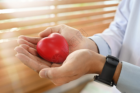 健康护理 器官捐赠和心脏病学概念 医生亲手贴近红心形状的医生图片