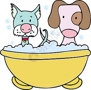 狗和猫浴图片