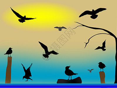 鸟类天堂绘画翅膀自由鸽子孔雀生活草地动物海鸥场地图片