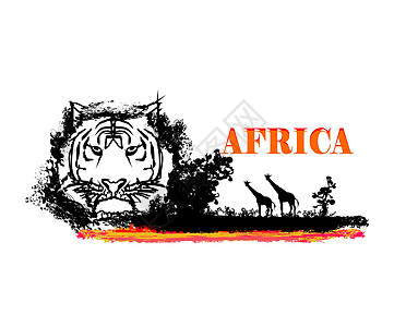 非洲动物和植物群的原始非洲背景日落风景食肉阳光天际天空假期旅行沙漠衬套图片