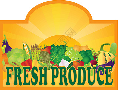 新鲜蔬菜洋葱新建产品设计图片