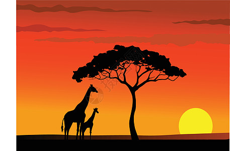 南非太阳城非洲日落破坏动物剪影食草红色插图沙漠草地生态荒野设计图片