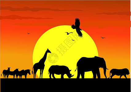 非洲日落剪影沙漠鬣狗荒野插图生态公园脖子戏剧性草地图片