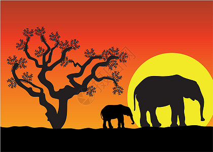 若尔盖大草原非洲大象森林动物叶子植物母亲阳光团体家庭旅游国家设计图片