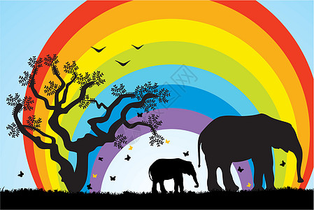 树 大象和彩虹图片