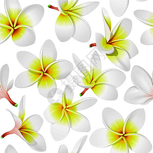 热带鲜花无缝模式图片