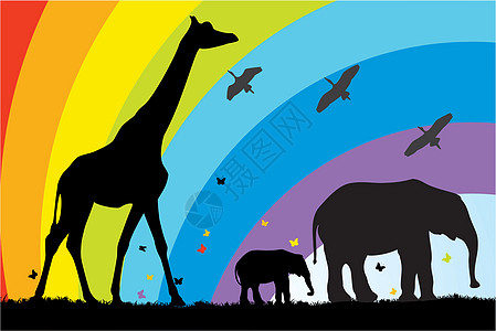 长颈鹿和大象动物阳光家庭旅游树干插图太阳蝴蝶彩虹荒野图片