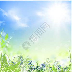 夏季夏月场地生长季节地平线园艺天气阳光活力野花环境图片