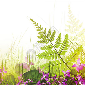 带花朵的夏季草原插图框架天气晴天生长季节花园环境中提琴植物图片