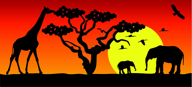 非洲长颈鹿和大象的病媒叶子哺乳动物大草原日落国家树干动物太阳旅行天空图片