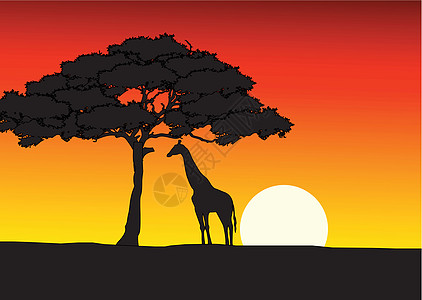 带长颈鹿环影的狩猎背景植物动物艺术丛林场景阳光野生动物哺乳动物天空环境图片