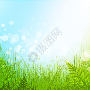 绿绿草情绪生态天气蕨类生长叶子植物群场地环境太阳图片