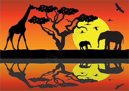 长颈鹿和大象树干团体日落旅游荒野野生动物插图母亲国家家庭图片