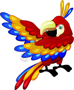 可爱的鹦鹉卡通异国濒危情调热带舌头矢量艺术羽毛翅膀生活图片