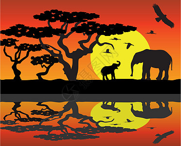 若尔盖大草原非洲地区病媒大象橙子反射旅游荒野国家植物动物园树干家庭母亲设计图片