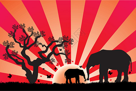 矢量象树干旅行插图哺乳动物领导阳光射线植物日落野生动物图片