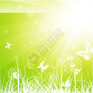 夏季草地场地太阳晴天阳光生态插图植物季节绿色花园图片
