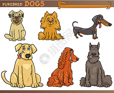 纯净的狗狗漫画插图集团体猎犬犬类插图剪贴小狗尾巴卡通片哈巴狗宠物图片
