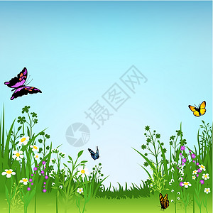 鲜花的草地和蝴蝶图片
